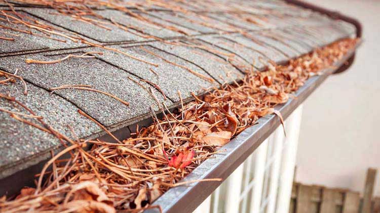 Home dirty gutters